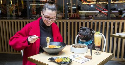 Edinburgh restaurant launches dog menu so owners can dine with their pets