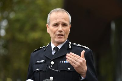 Problems in Metropolitan Police ‘not a few bad apples’, chief admits