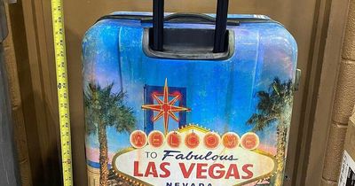 Body of schoolboy found hidden in Las Vegas suitcase by a mushroom hunter