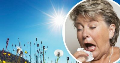 The Vaseline hay fever hack that NHS says can 'trap pollen' in its tracks
