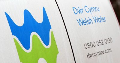 Welsh Water bosses handed bonuses of £931,000