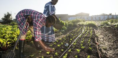 There's a place for big and small farms in securing South Africa's food supply