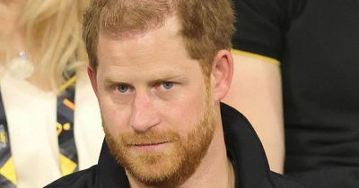 Prince Harry fears he will 'burn out' trying to make world better for Archie and Lilibet