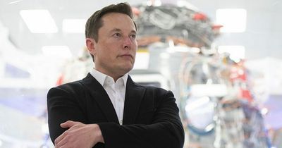 Elon Musk net worth: How many companies does he have and what are their plans?