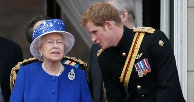Prince Harry's staggering Messiah complex as he claims to be protecting the Queen
