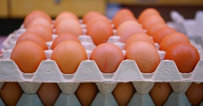 Asda, Morrisons, Tesco, Aldi, Lidl and more warned eggs could disappear from shelves