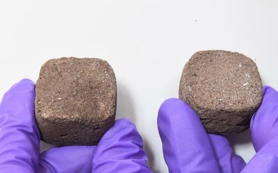 ISRO, IISc researchers develop a way to make bricks from Martian soil