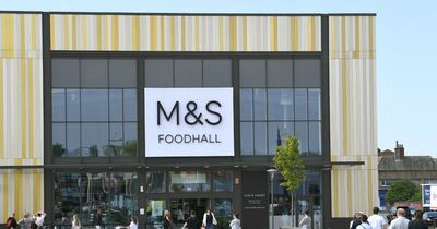 Marks and Spencer shoppers floored by 'amazing' £3 low calorie dessert
