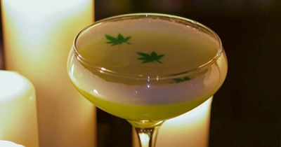 Glasgow's Tabac to relaunch CBD cocktail bar The Grow Room with brand new drinks menu