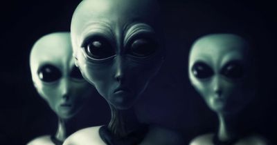 NASA plan to contact extraterrestrials will attract 'hostile' aliens, claims scientist