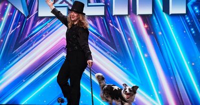 BGT's 'best dog act ever' were finalists on another 'Got Talent' show with third member
