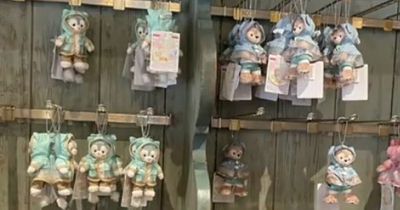 Crazed Disney fans desperate for merchandise use FAKE BABIES to get around item limit