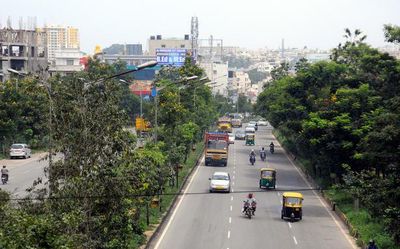 HC grants permission to fell 1,334 trees for metro project on ORR stretch