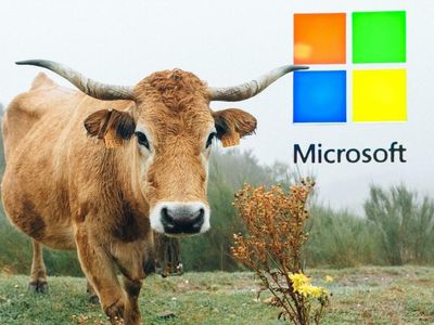 Microsoft Bulls Back After Forming This Bullish Pattern: Here's How To Trade It