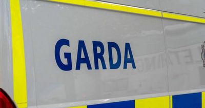 Gardai hunting mystery vehicle after spate of crimes as they release 'possible reg'