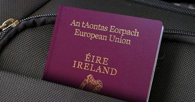 Irish passport figures by postcode show many issued in unionist areas of NI since Brexit