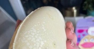 Children's distress as Sainsbury's-bought Easter egg covered in furry mould