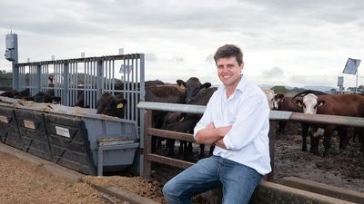 Armidale researchers hope genetic selection will be key to raising steaks with lower emissions