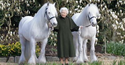 Beaming Queen poses for birthday photo - and makes subtle tribute to Philip