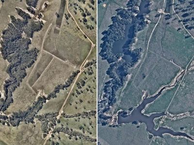 Company fined over clearing, illegal dams