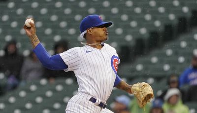 Rain cuts series finale to five innings, Cubs lose 8-2 to Rays