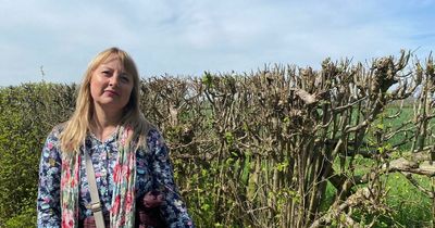 Top Wighay and Whyburn Farm: Fears greenbelt could be 'lost forever' in tram extension to new homes