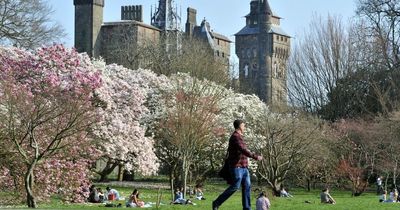 Met Office say sunshine on the way after a chilly start