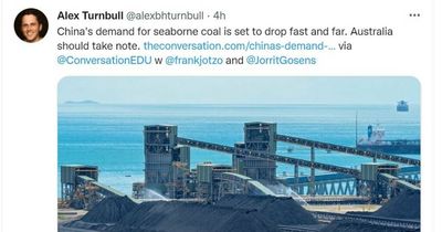 Industry rebuts Alex Turnbull claims of Chinese hit on Australian coal