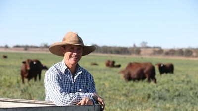 Drought broken in 11 Queensland LGAs after intense rain, but many producers still struggling