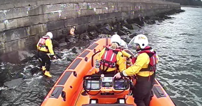 Edinburgh RNLI race to rescue terrified dog trapped on rocks