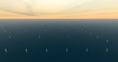 Round Four offshore wind projects to proceed in full as habitat assessments complete
