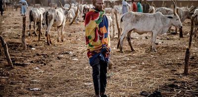 Climate may not directly drive conflict but it's critical for building peace