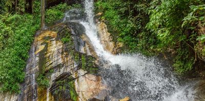 Nigeria's pristine freshwater ecosystems need protection before they are lost