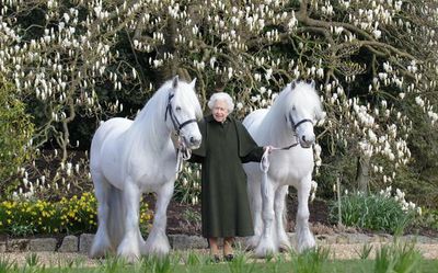 Love for horses marks 96th birthday of Britain’s Queen