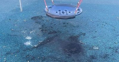 'Group of yobs' set fire to and damage new play area in Swansea and abuse people using it