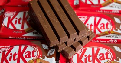 KitKats, Shreddies and pet food among products likely to rise in price, warns manufacturer Nestle