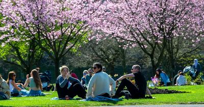 Met Office issues Scotland weather update as temperatures to drop after warm Easter