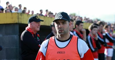 Ulster Senior Hurling Championship should be reinstated says Johnny Campbell
