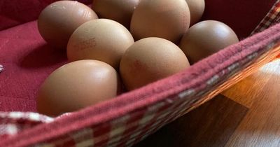 Aldi, Lidl, Asda, Morrisons, Tesco warned eggs could disappear from shelves