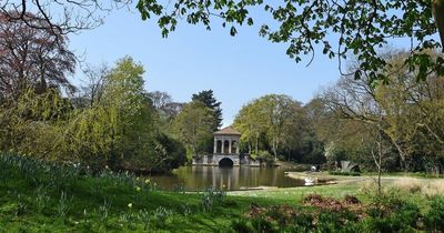Sexual assault investigation launched after woman attacked in park