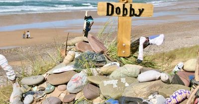 Dobby's 'grave' at Freshwater West has now become so popular that there are concerns it is 'not sustainable in the long term'