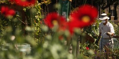 The pandemic's gardening boom shows how gardens can cultivate public health