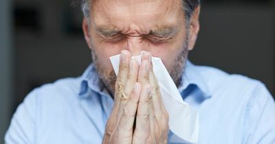 Doctor explains how to get rid of hay fever symptoms quickly as allergy can last months