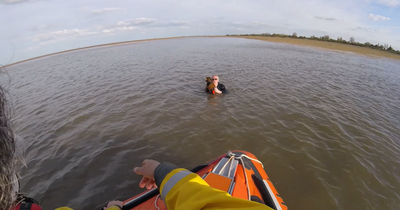 Incredible image shows moment stranded dad and dog rescued from rising water