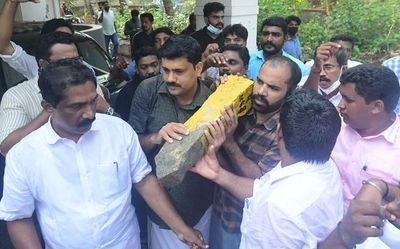 SilverLine survey stone-laying sparks agitations