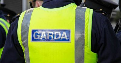 Teen cyclist rushed to hospital after single vehicle collision in Meath