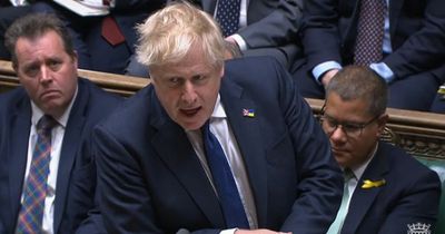 Prime Minister Boris Johnson will face Commons investigation into whether he misled Parliament