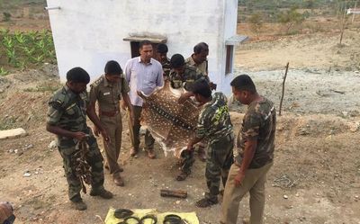 Poaching on forest fringes
