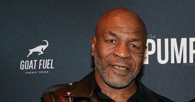 Mike Tyson reportedly 'beats up passenger' on flight