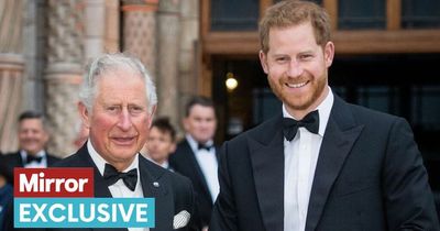 Harry and Charles haven't spoken since 'awkward' meeting with his dad 'at a loss'